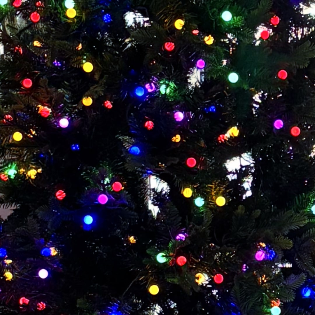 Photo shared by Jaylen for their Babylist baby registry.