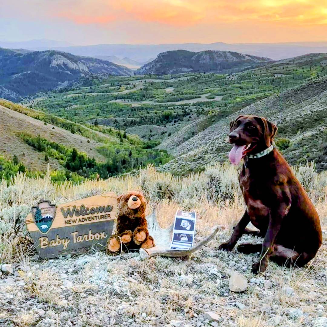 Photo shared by Melissa for their Babylist baby registry.