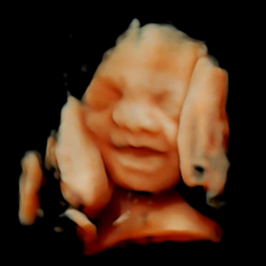 Photo shared by Julia for their Babylist baby registry.