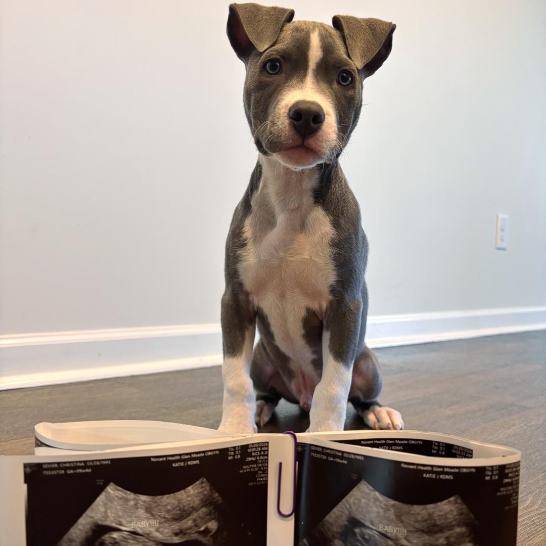 Photo shared by Christina for their Babylist baby registry.