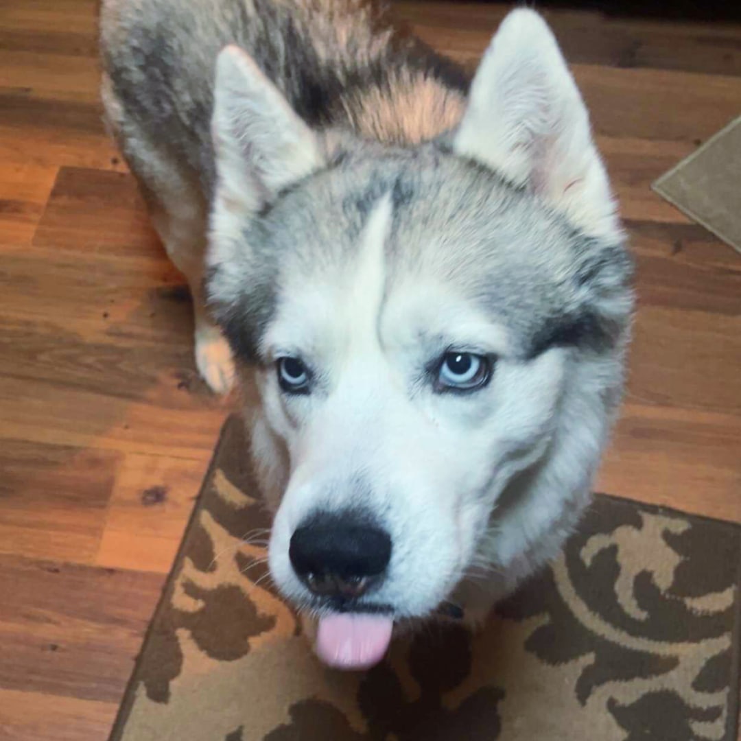 Photo shared by Kelly for their Babylist baby registry.