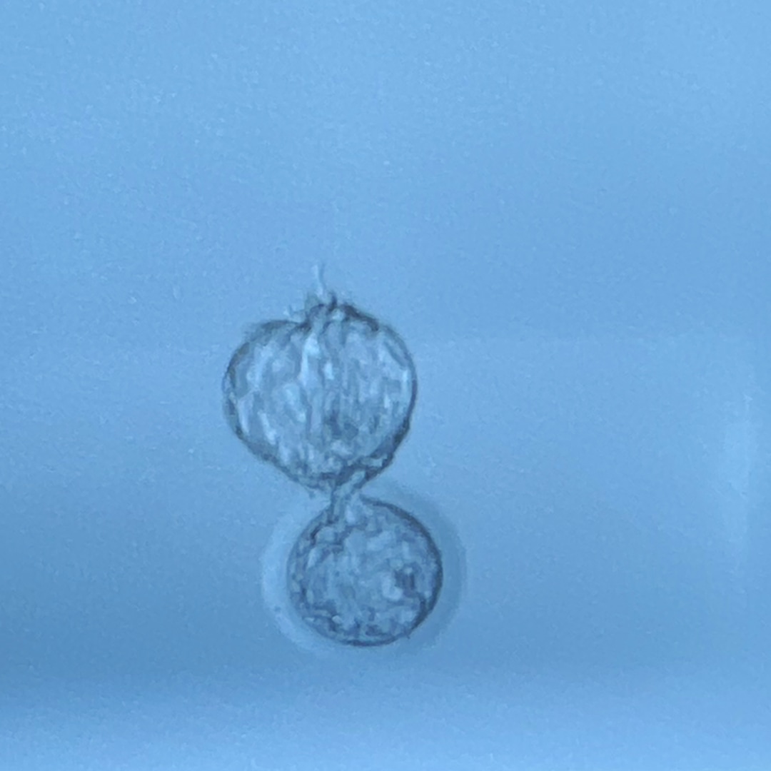 Photo shared by Cassandra for their Babylist baby registry.