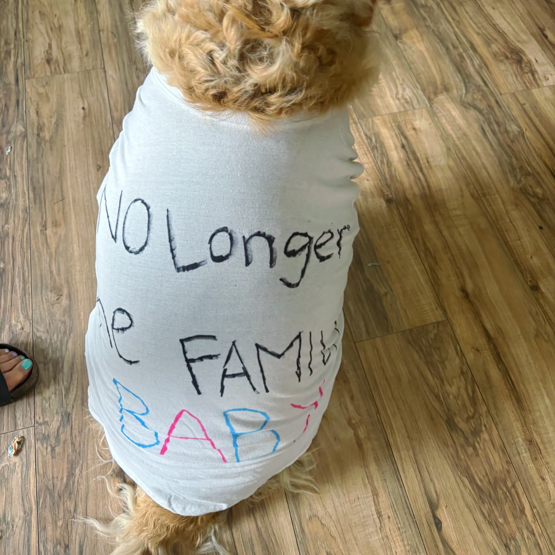 Photo shared by Brianna for their Babylist baby registry.