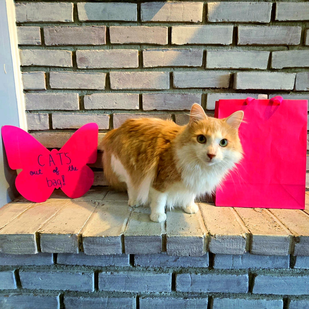 Photo shared by Ashley for their Babylist baby registry.