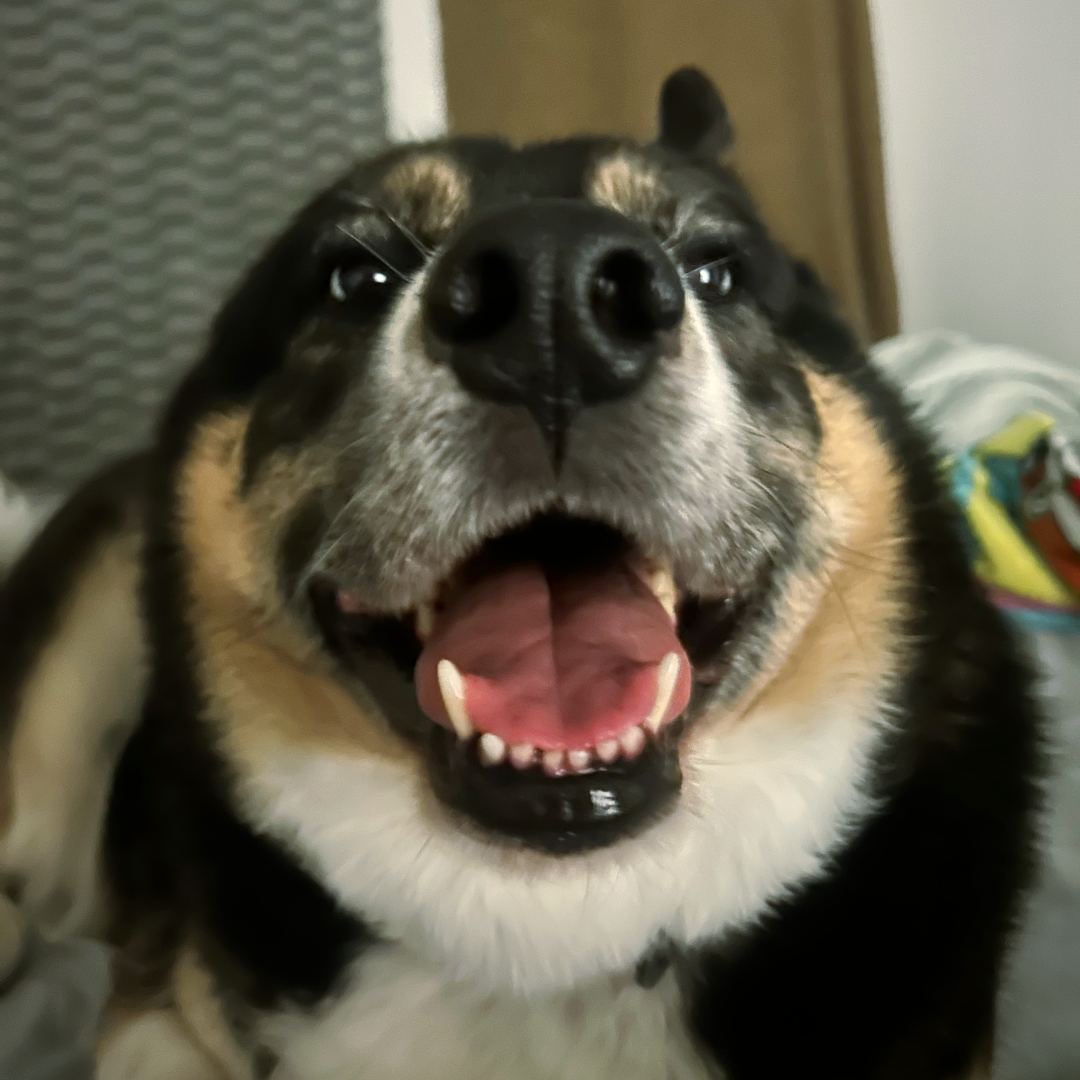 Photo shared by Sophia for their Babylist baby registry.