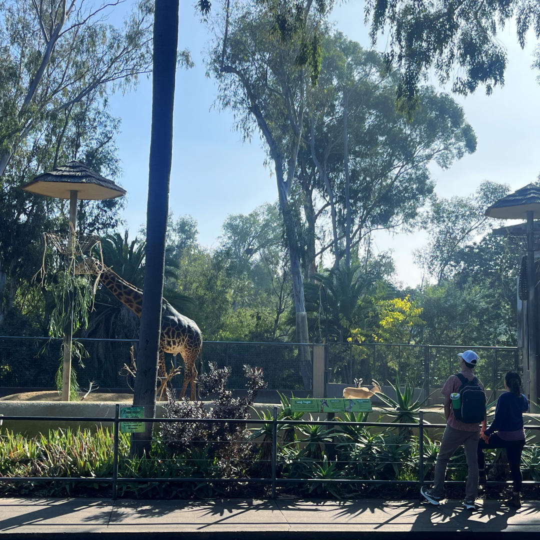 Photo shared by Sara for their Babylist baby registry.