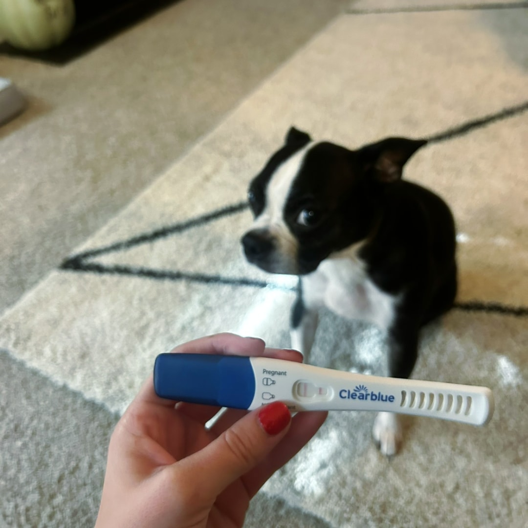 Photo shared by Chloe for their Babylist baby registry.