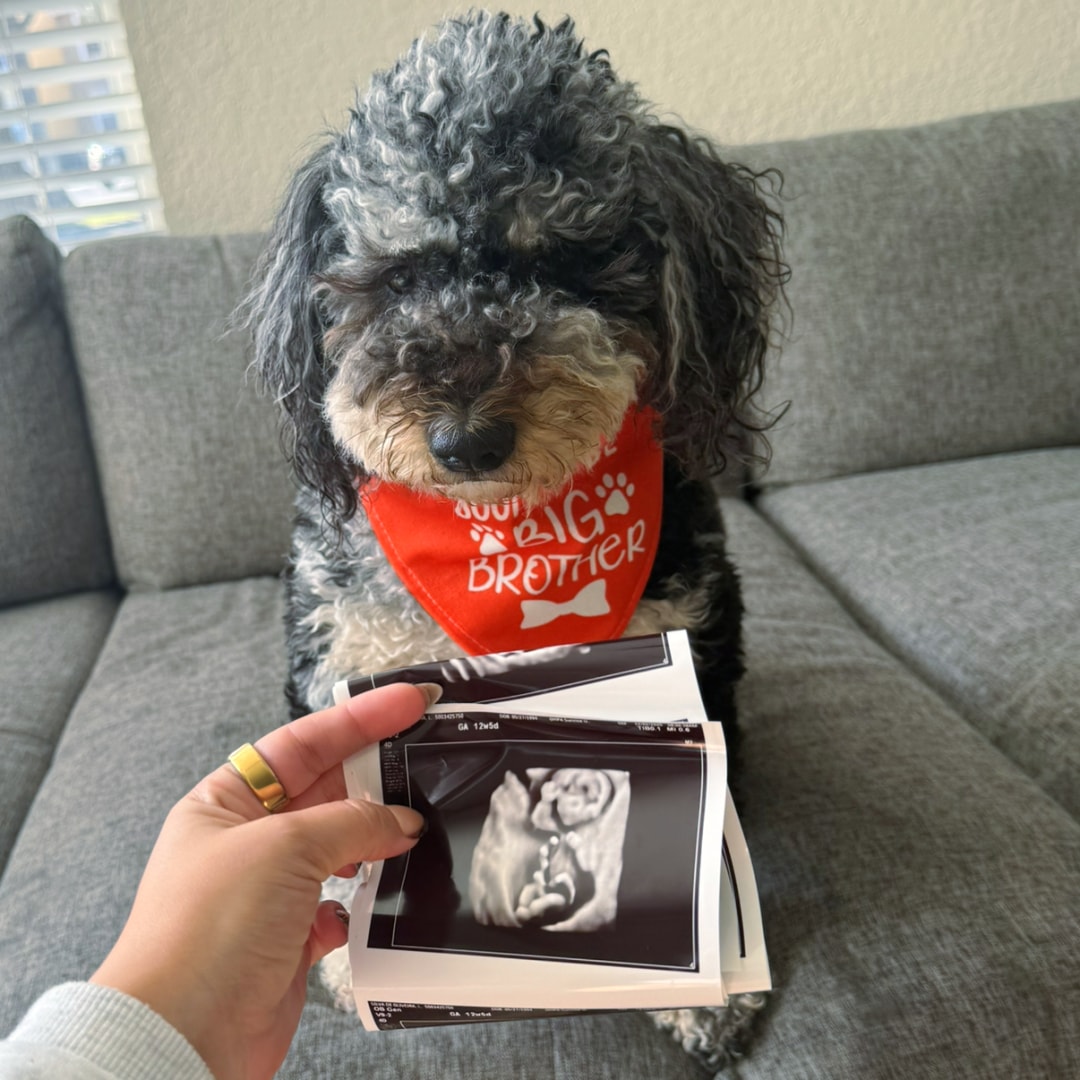 Photo shared by Nattasha for their Babylist baby registry.