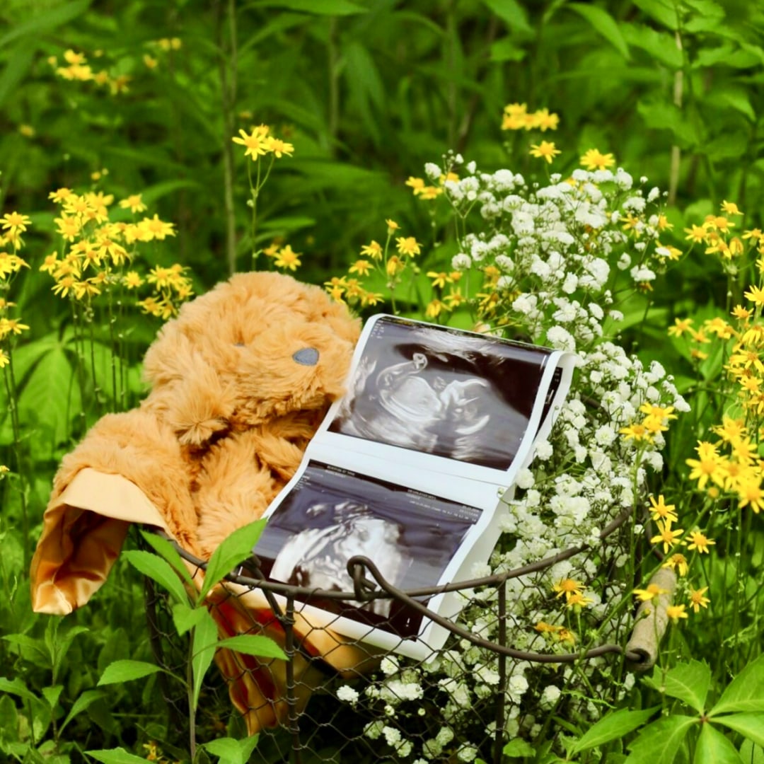 Photo shared by Kelsey for their Babylist baby registry.