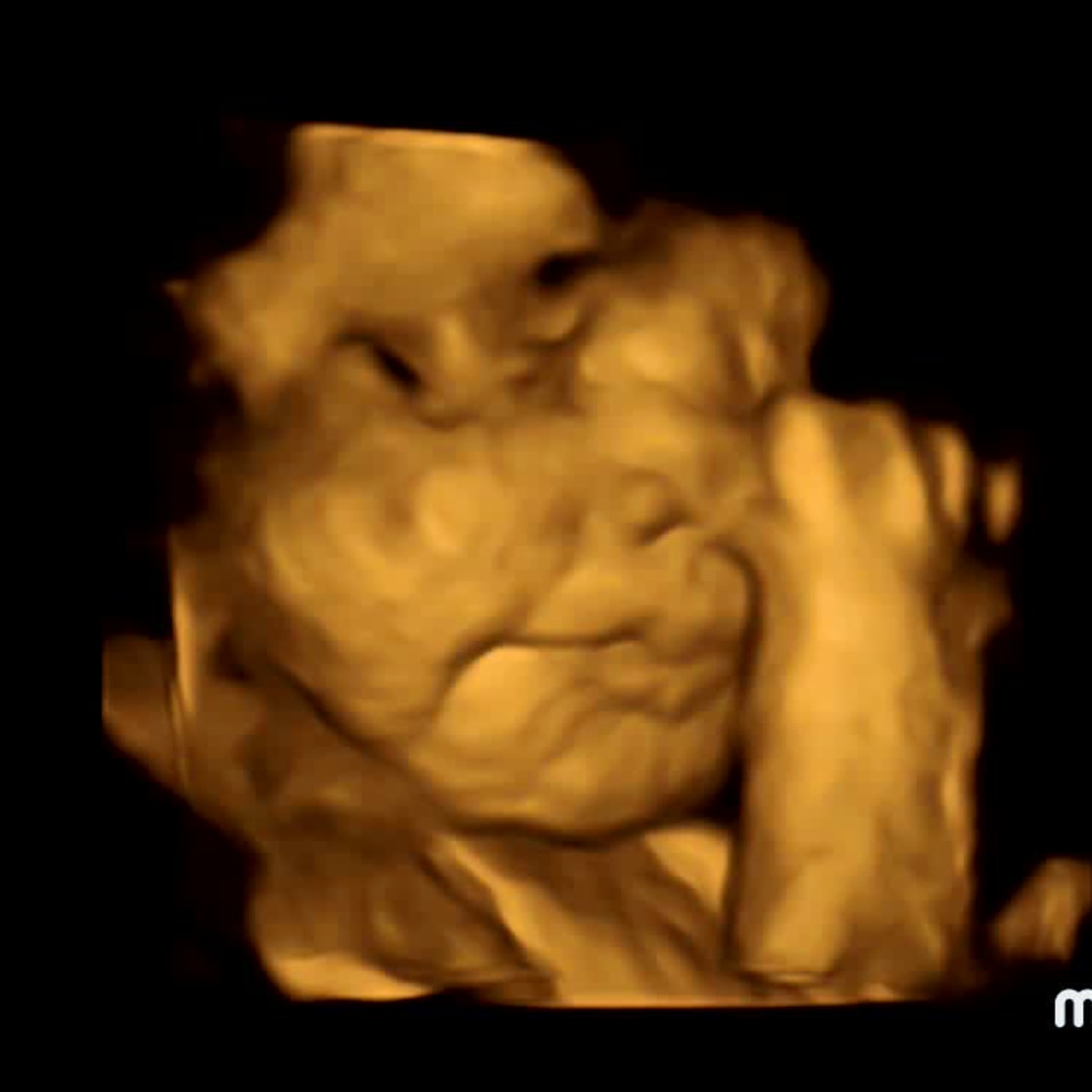 Photo shared by Carolina for their Babylist baby registry.