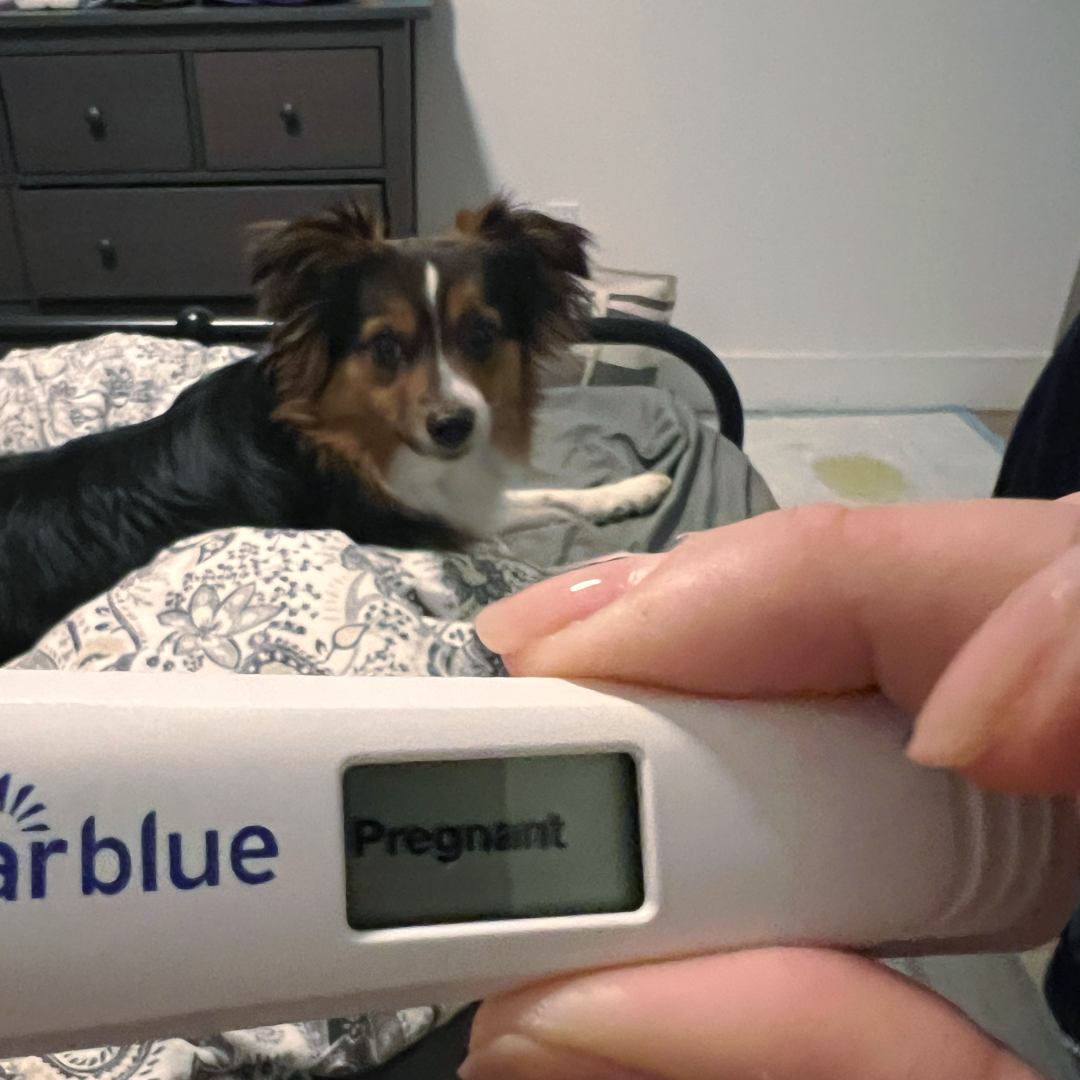 Photo shared by Jasmine for their Babylist baby registry.