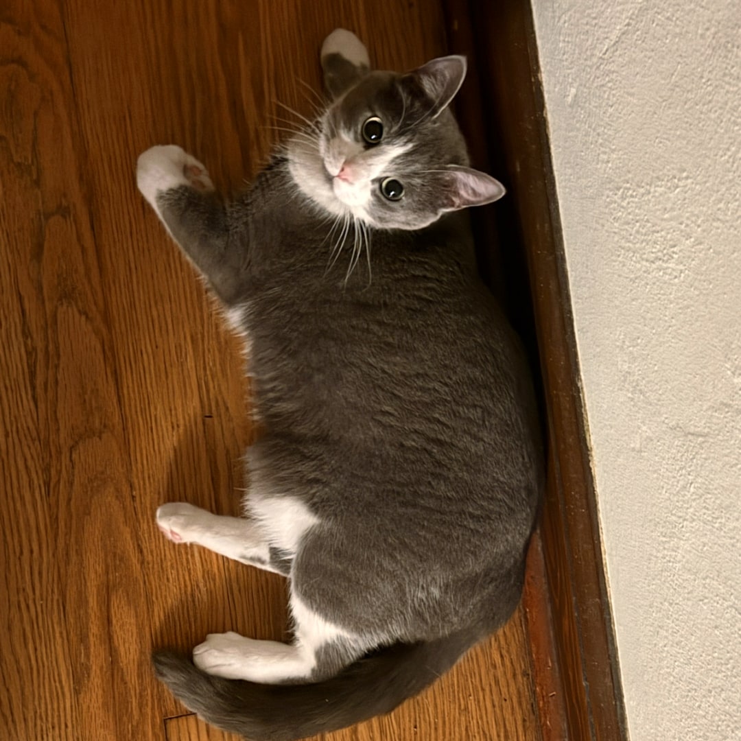 Photo shared by Brian for their Babylist baby registry.