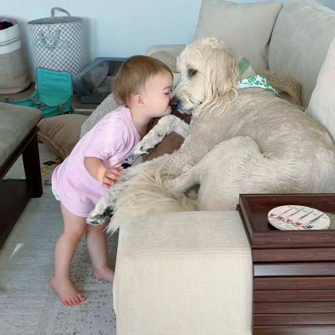 Photo shared by Abby for their Babylist baby registry.