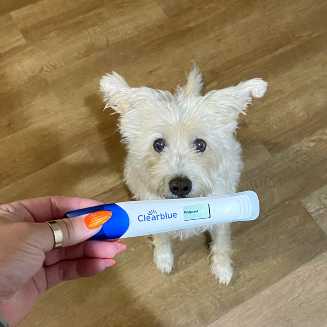 Photo shared by Annie for their Babylist baby registry.