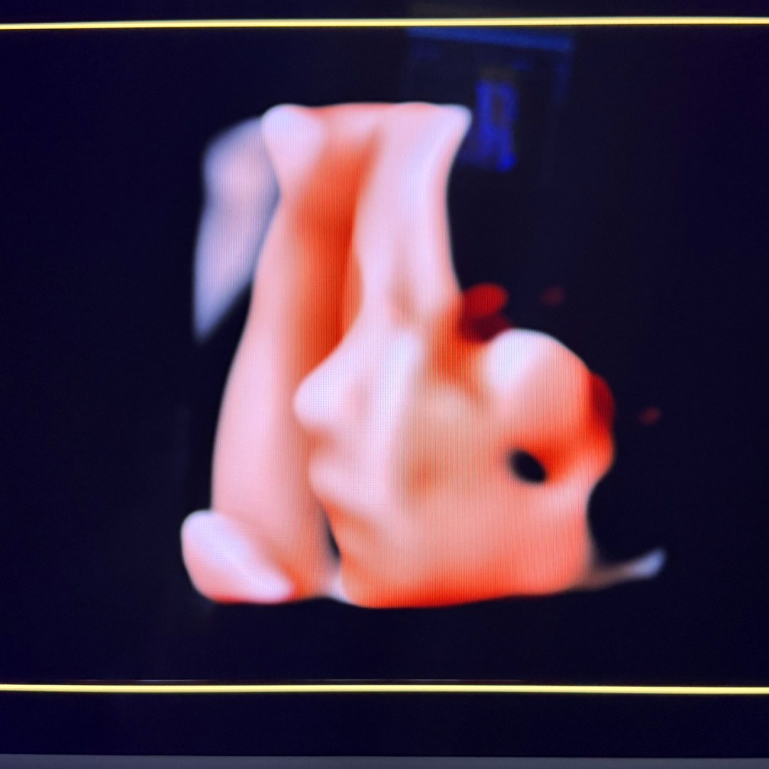 Photo shared by Annabelle for their Babylist baby registry.