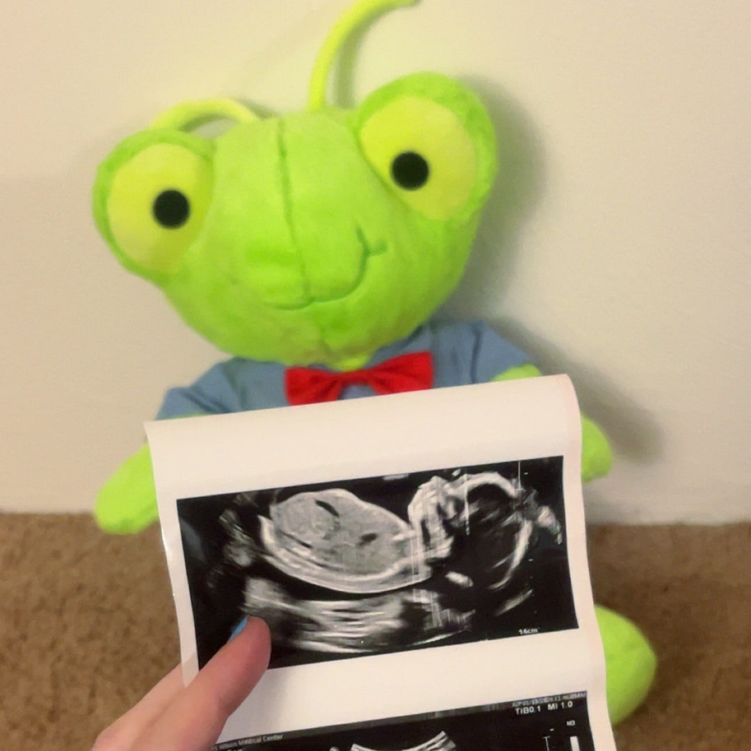 Photo shared by Emily for their Babylist baby registry.