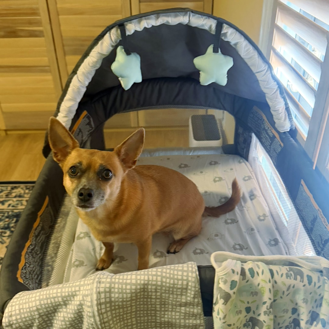 Photo shared by Grace for their Babylist baby registry.