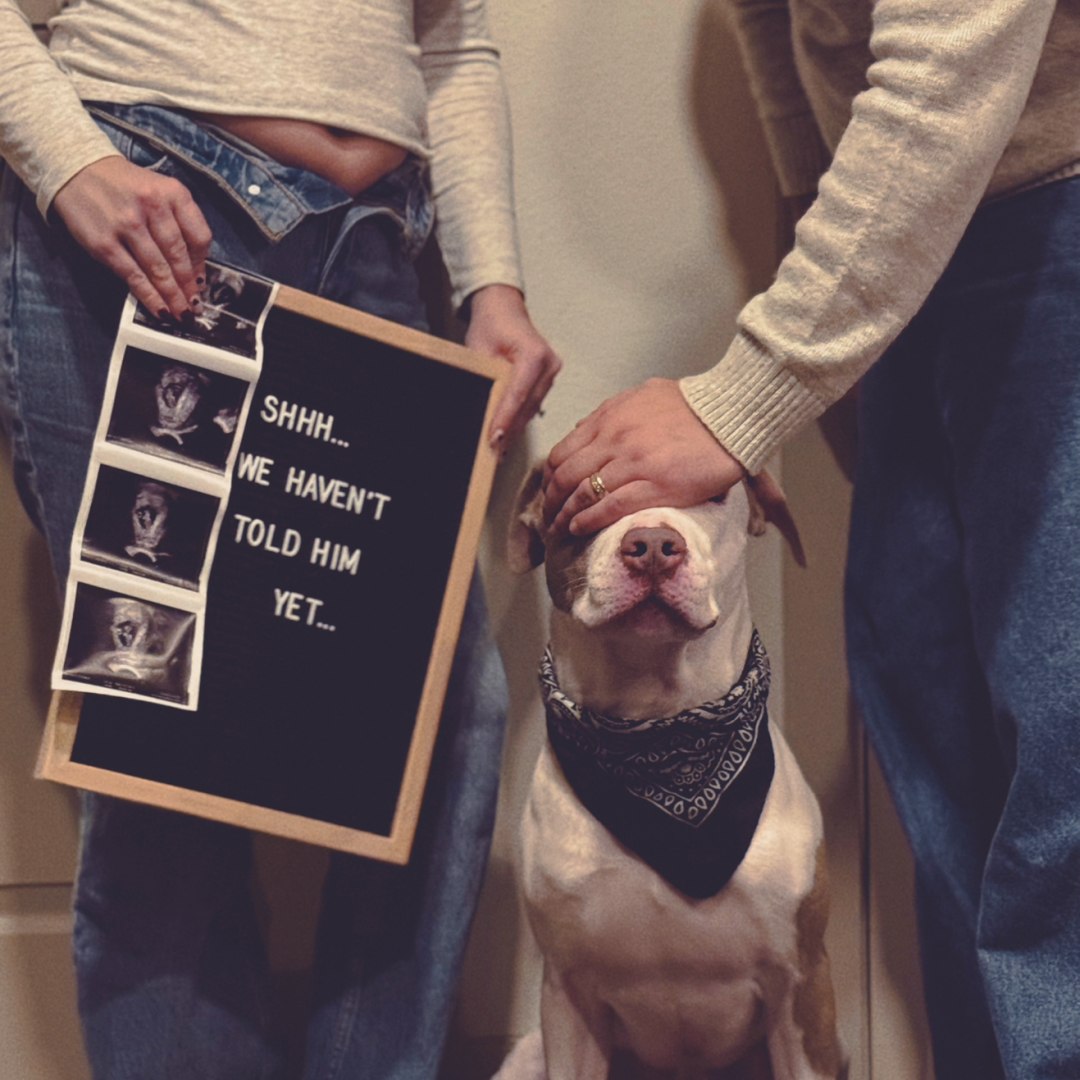 Photo shared by Pat & Tif for their Babylist baby registry.