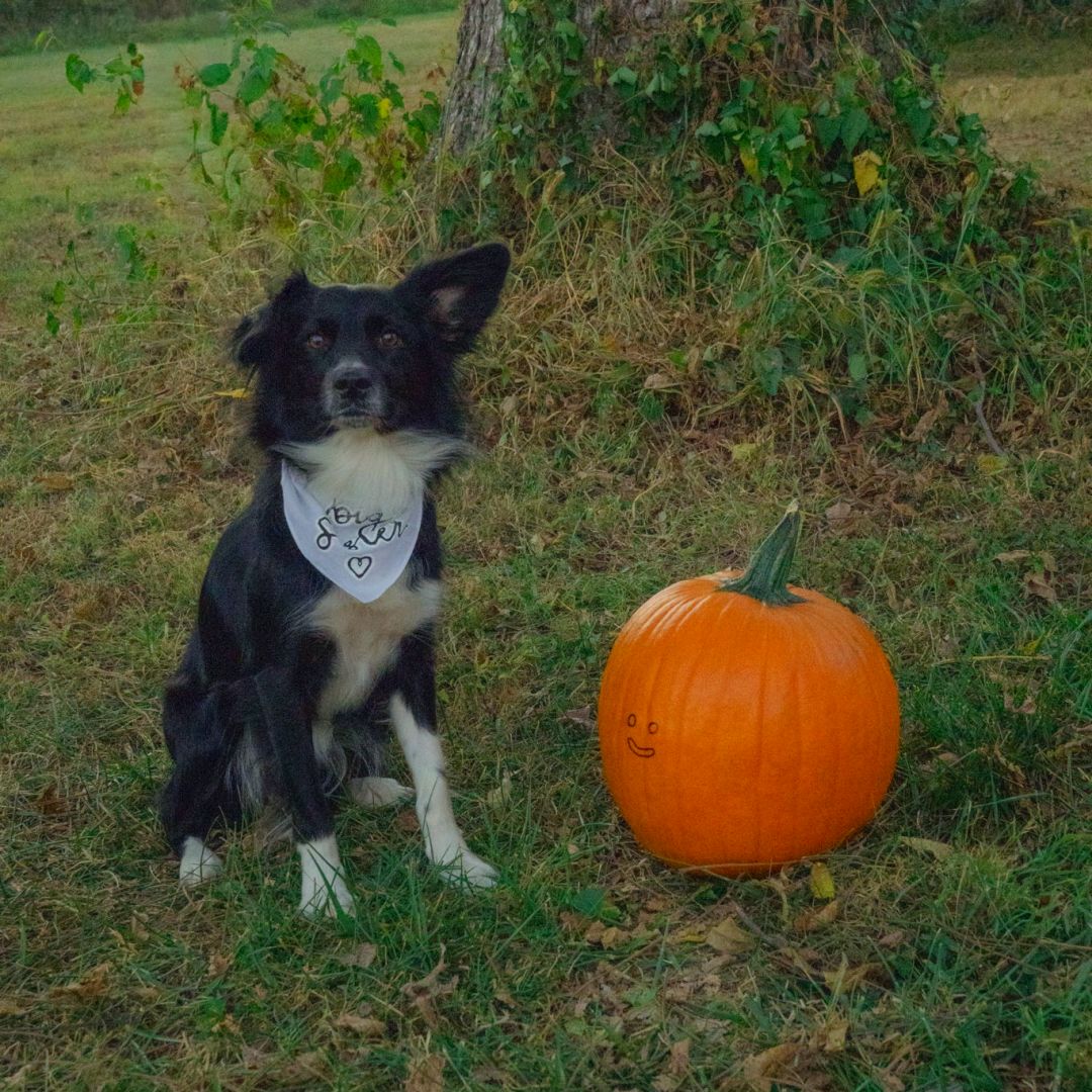 Photo shared by Clara Jo for their Babylist baby registry.