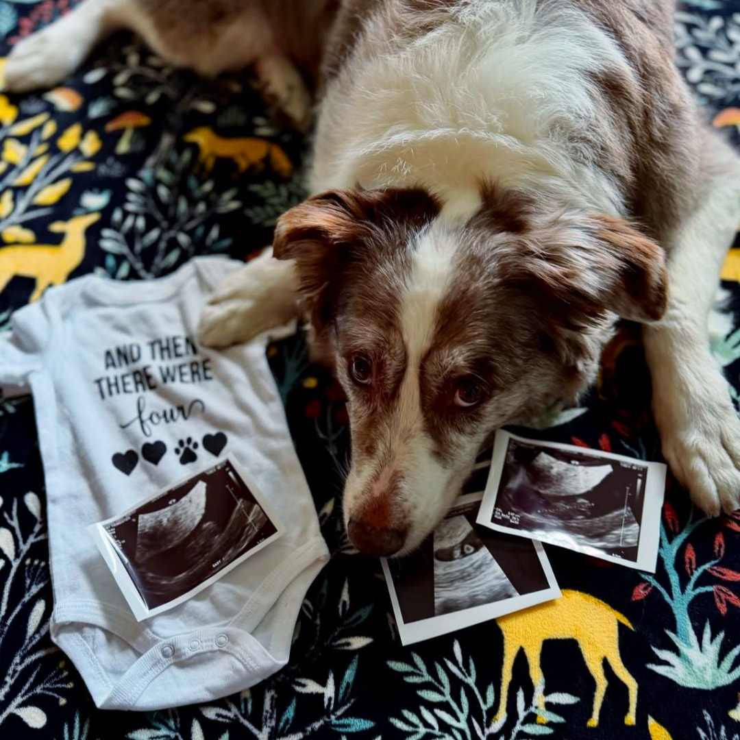 Photo shared by Korryn for their Babylist baby registry.