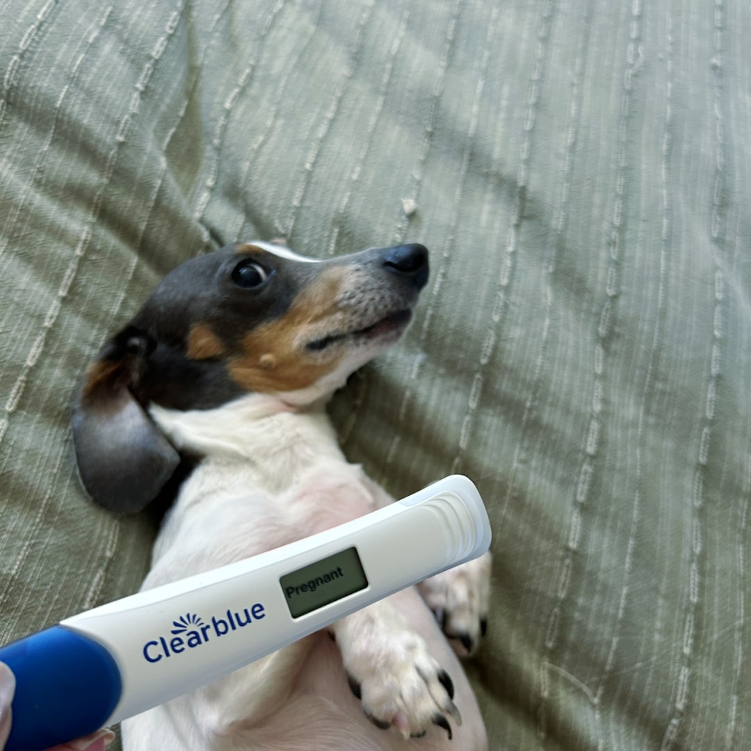 Photo shared by Alex for their Babylist baby registry.