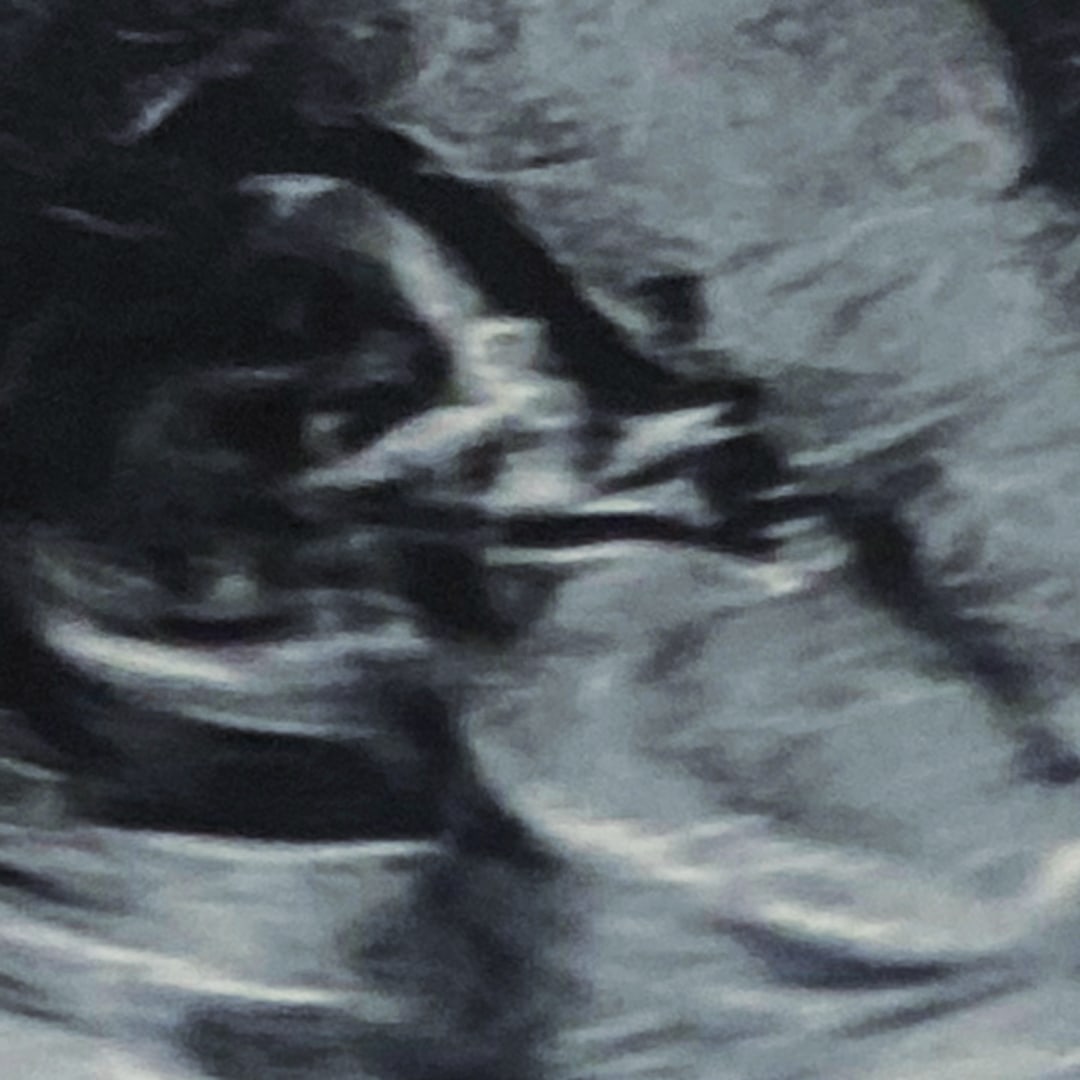 Photo shared by Cassie for their Babylist baby registry.