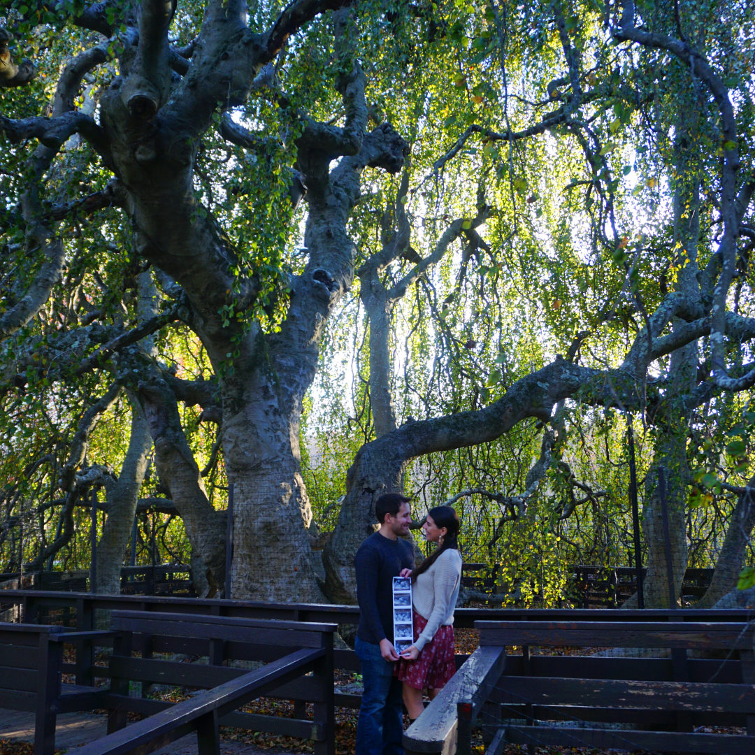 Photo shared by Katie for their Babylist baby registry.