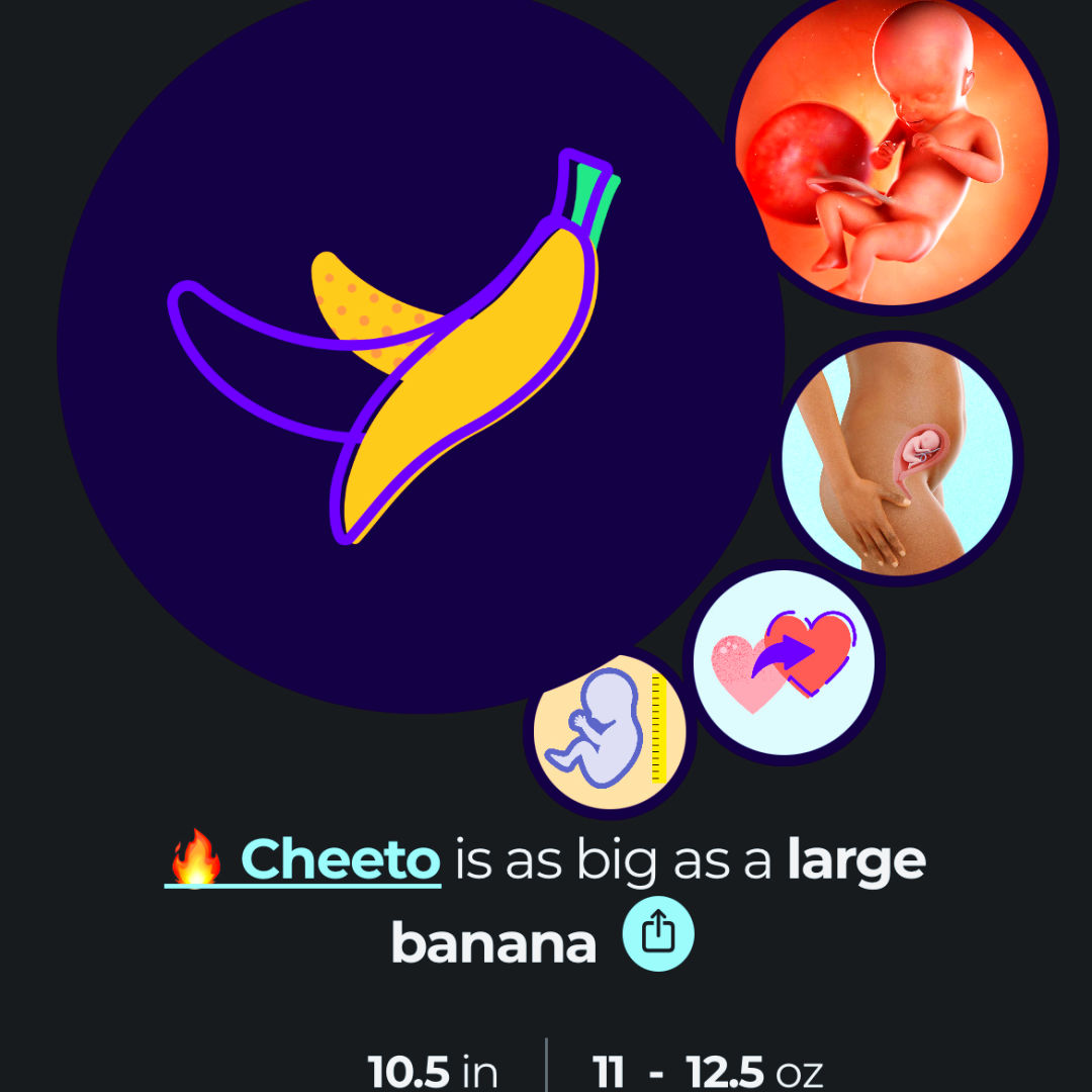 Photo shared by Ashley for their Babylist baby registry.