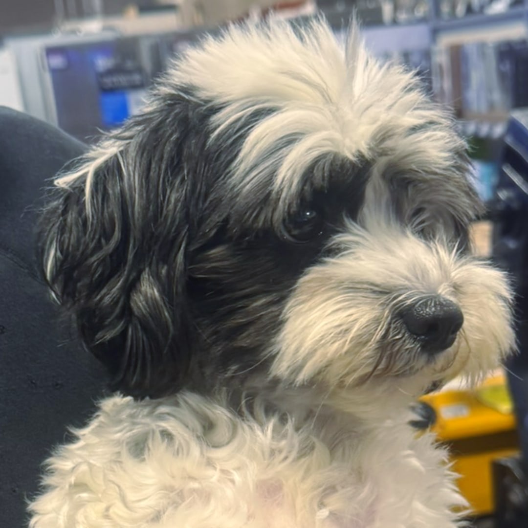 Photo shared by Emely for their Babylist baby registry.