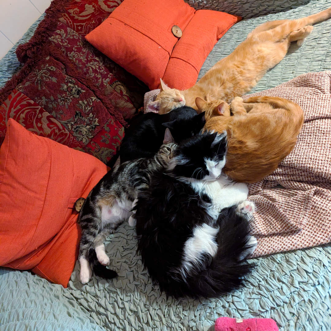 Photo shared by Deanna for their Babylist baby registry.