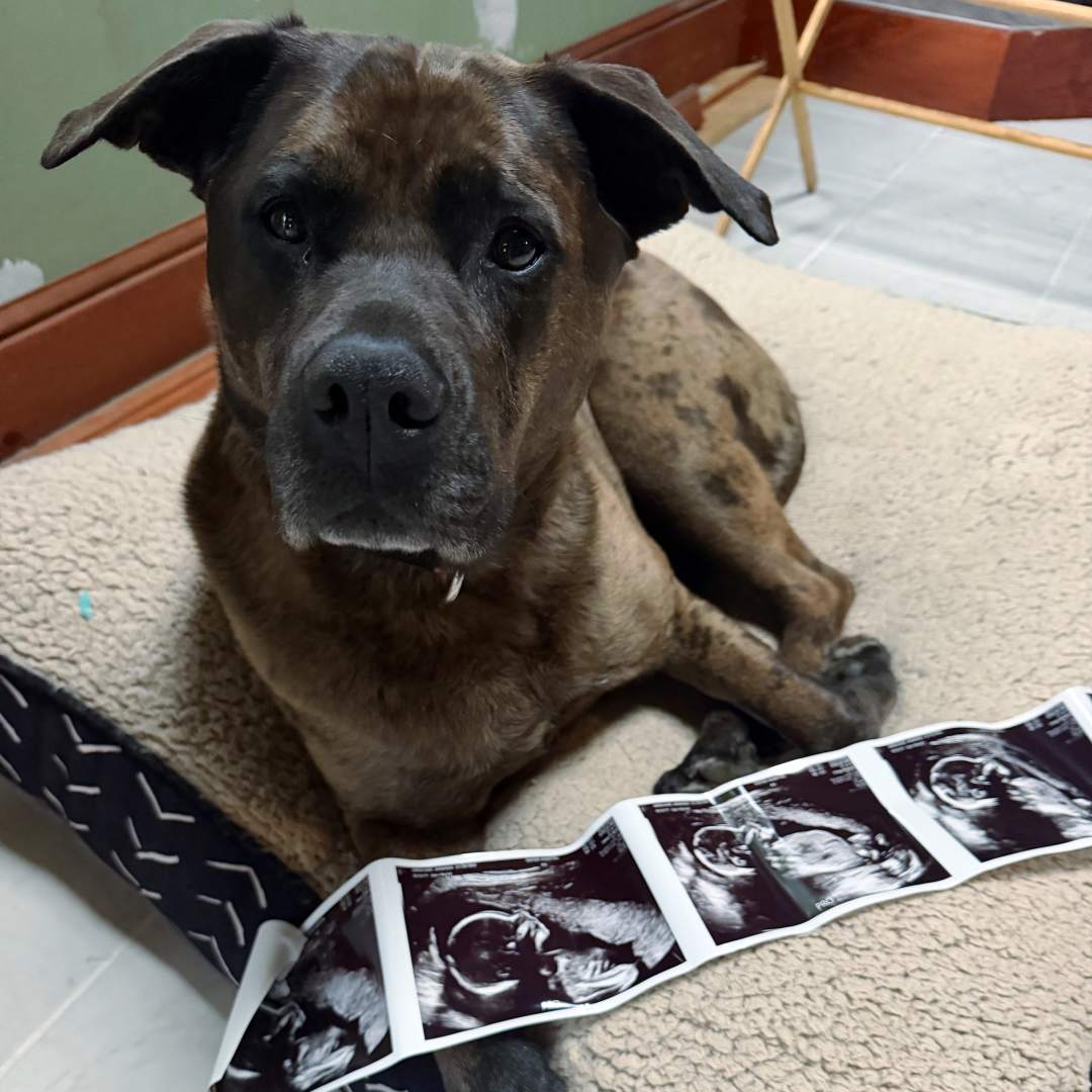 Photo shared by Amanda for their Babylist baby registry.