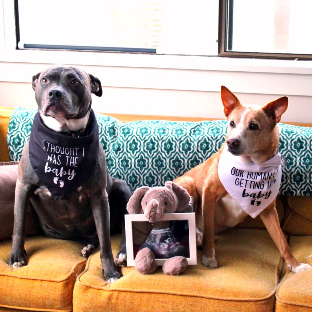 Photo shared by Alex for their Babylist baby registry.