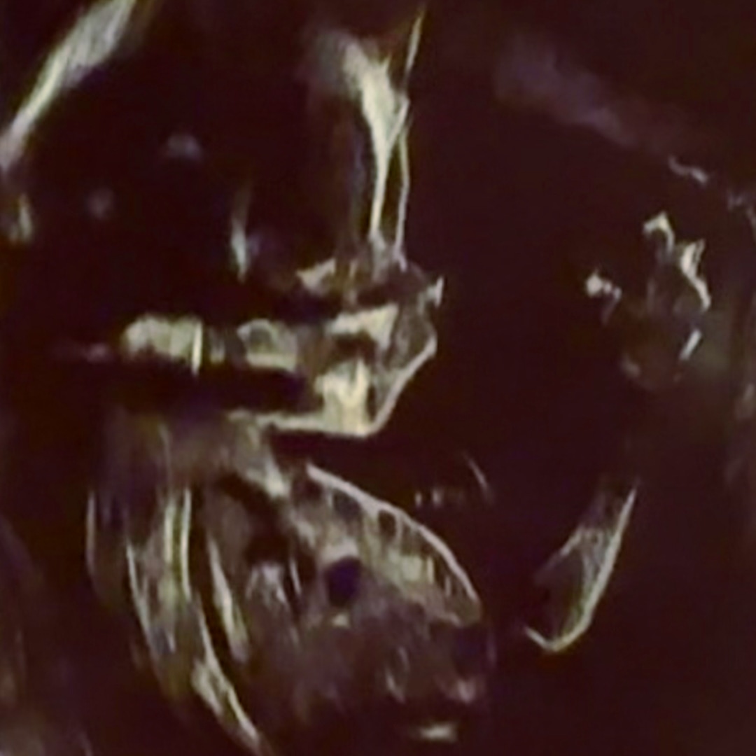 Photo shared by Isabella for their Babylist baby registry.