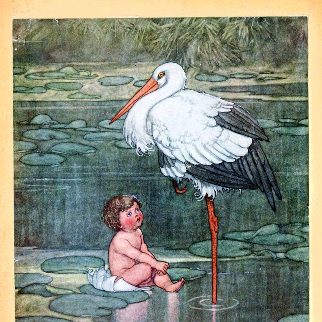 Photo shared by Amber for their Babylist baby registry.