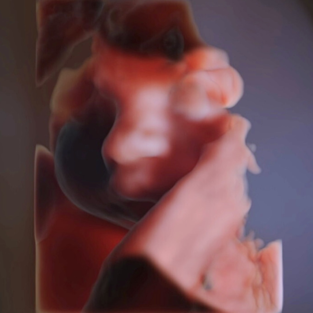 Photo shared by Alannah for their Babylist baby registry.