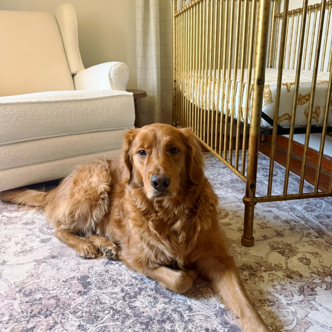 Photo shared by Kylie for their Babylist baby registry.