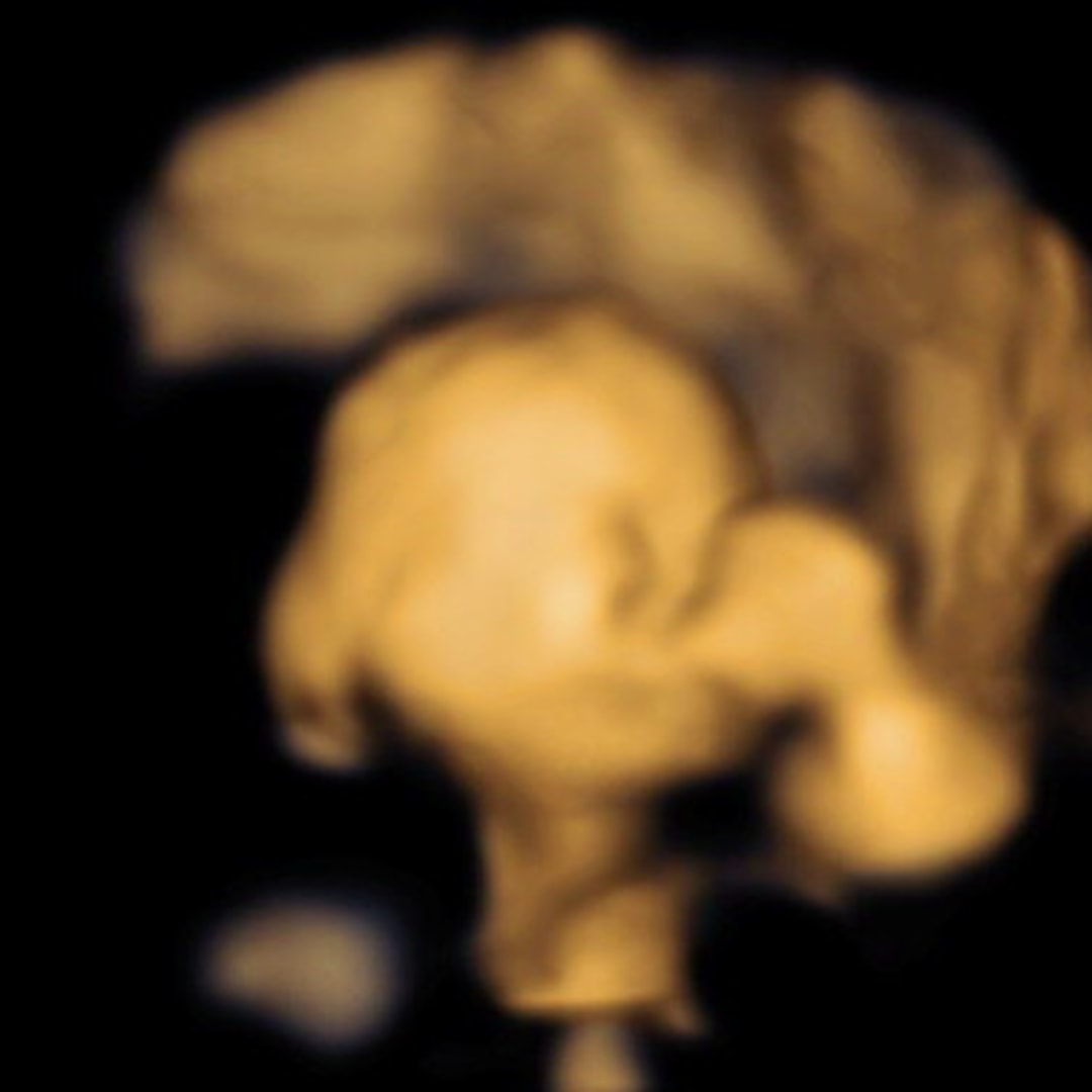 Photo shared by Courtney for their Babylist baby registry.