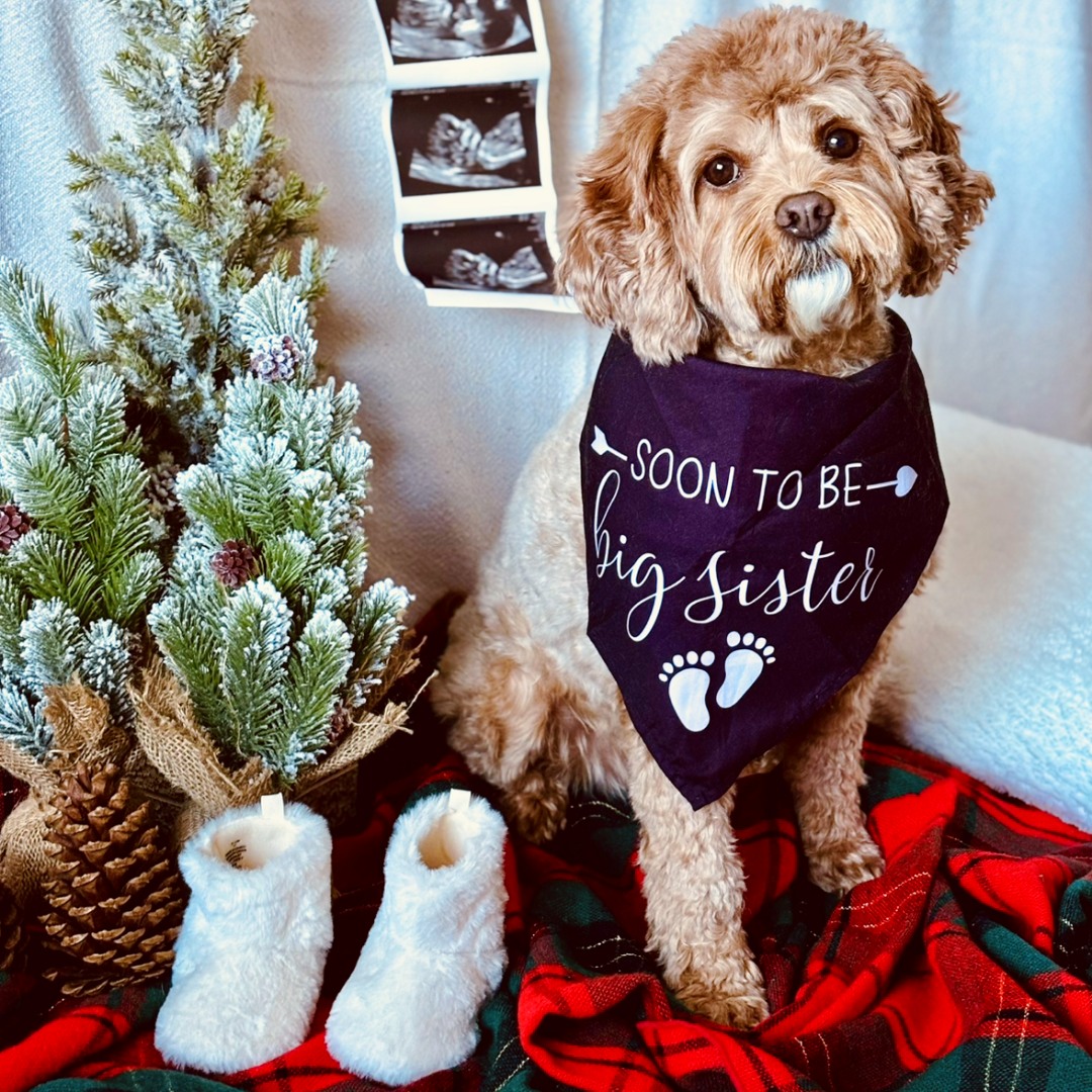 Photo shared by Mallory for their Babylist baby registry.