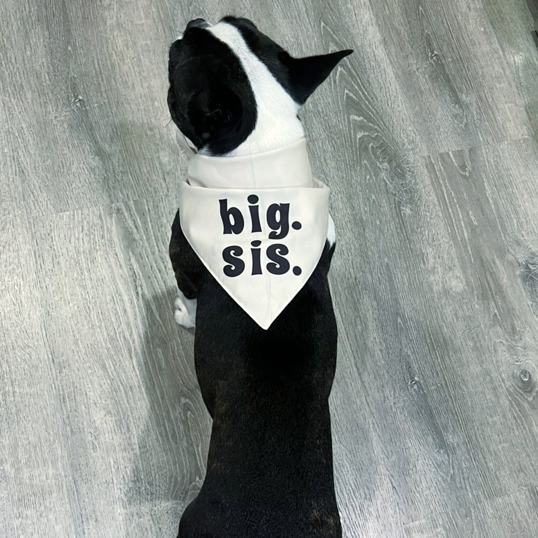 Photo shared by Meredith for their Babylist baby registry.