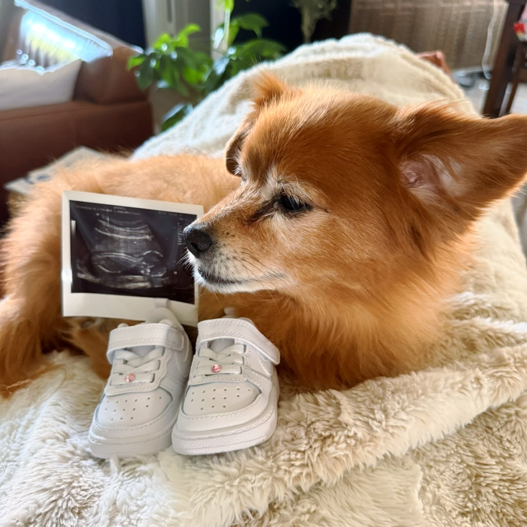 Photo shared by Geebs for their Babylist baby registry.