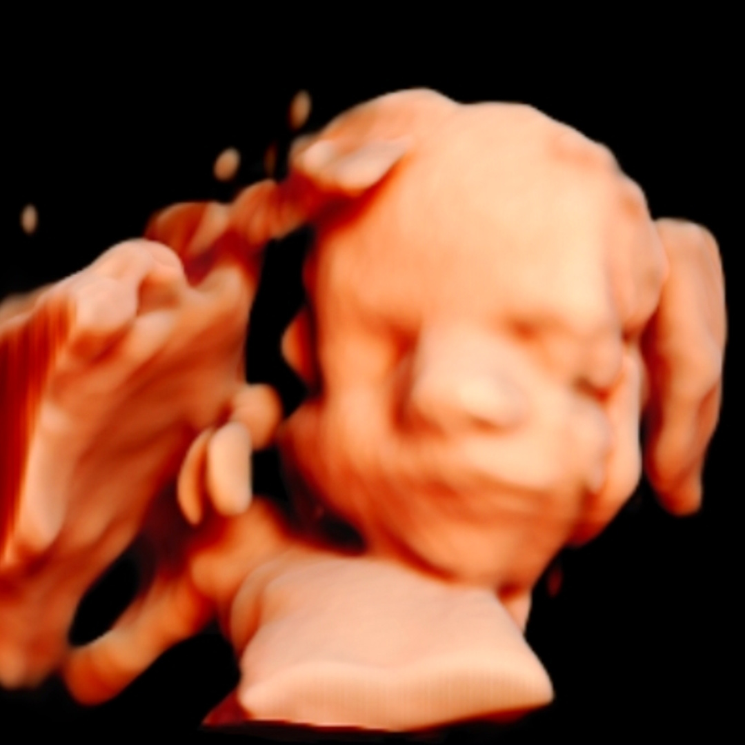 Photo shared by Naida for their Babylist baby registry.