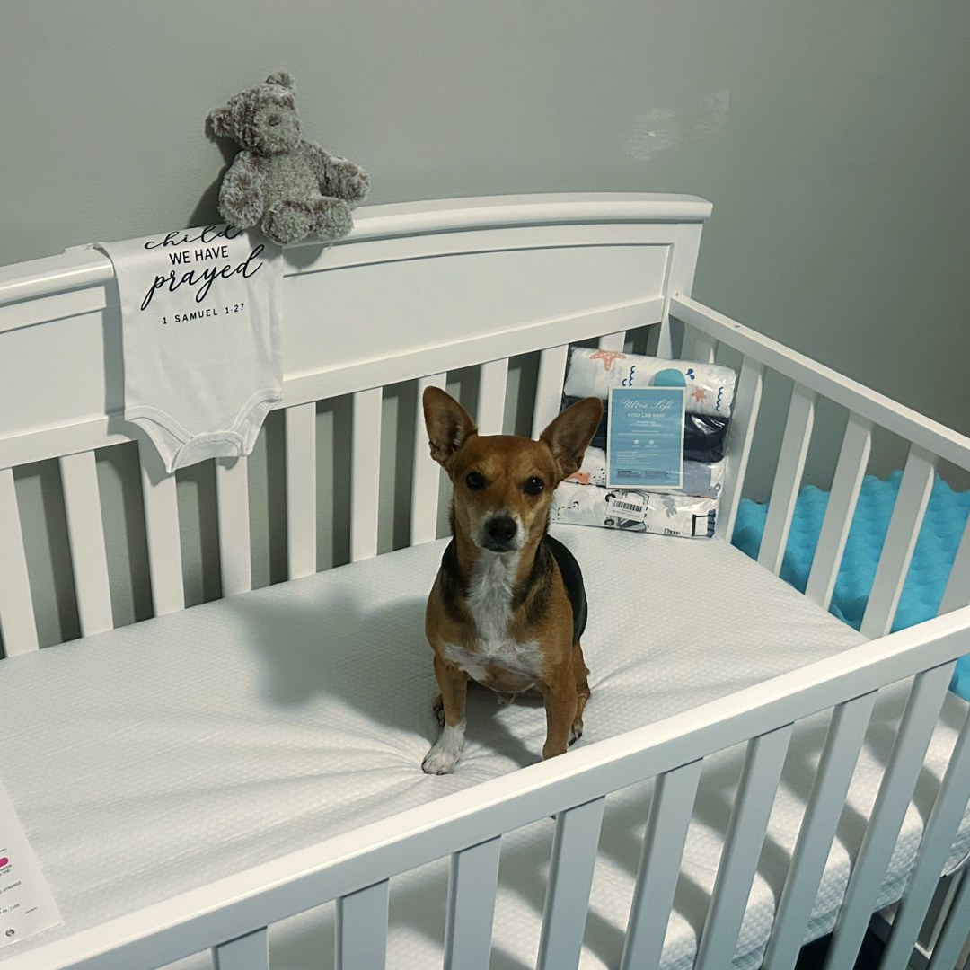 Photo shared by Jillian for their Babylist baby registry.