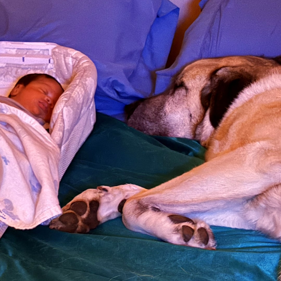 Photo shared by Michaela for their Babylist baby registry.