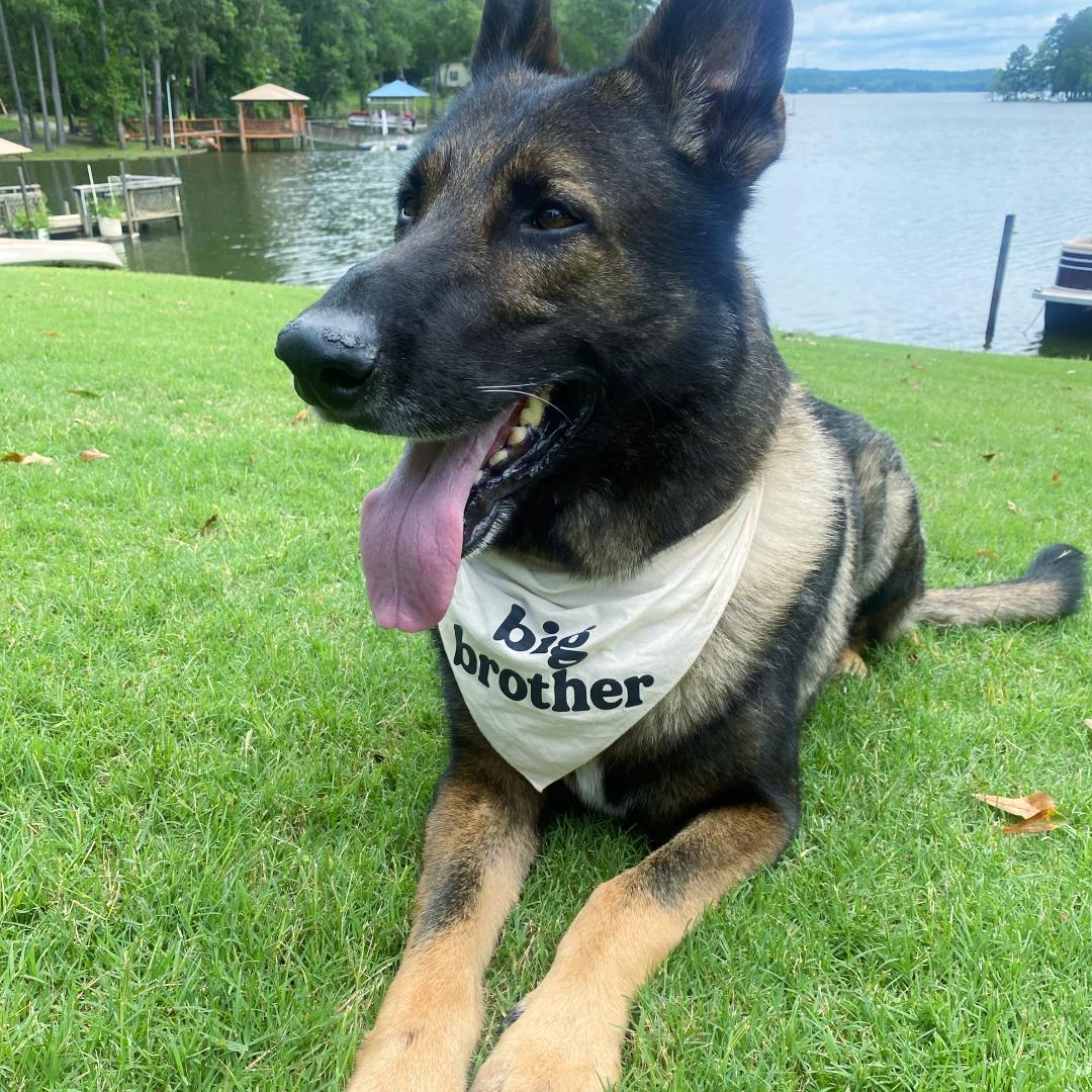 Photo shared by Leigh Ann for their Babylist baby registry.