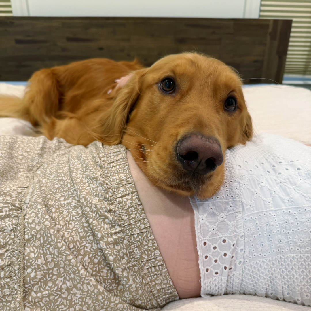 Photo shared by Emily for their Babylist baby registry.