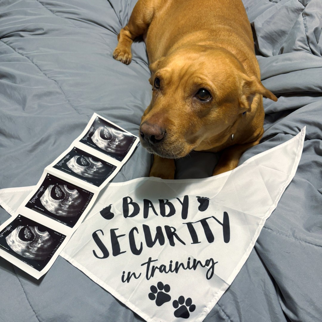 Photo shared by Allianna for their Babylist baby registry.