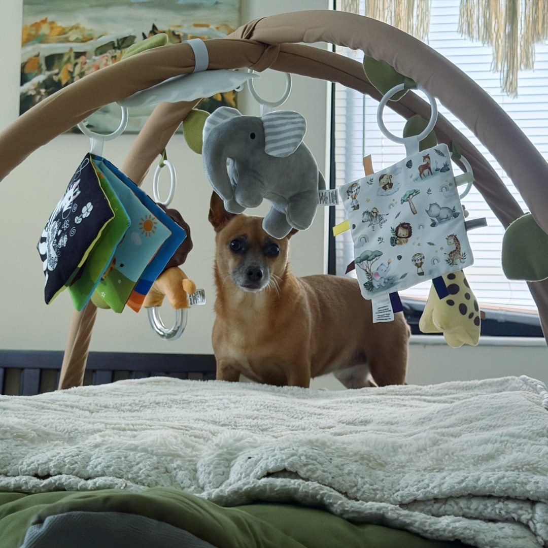 Photo shared by Grace for their Babylist baby registry.