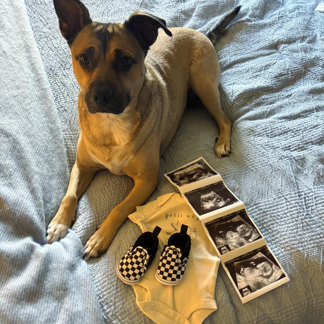 Photo shared by Courtney for their Babylist baby registry.