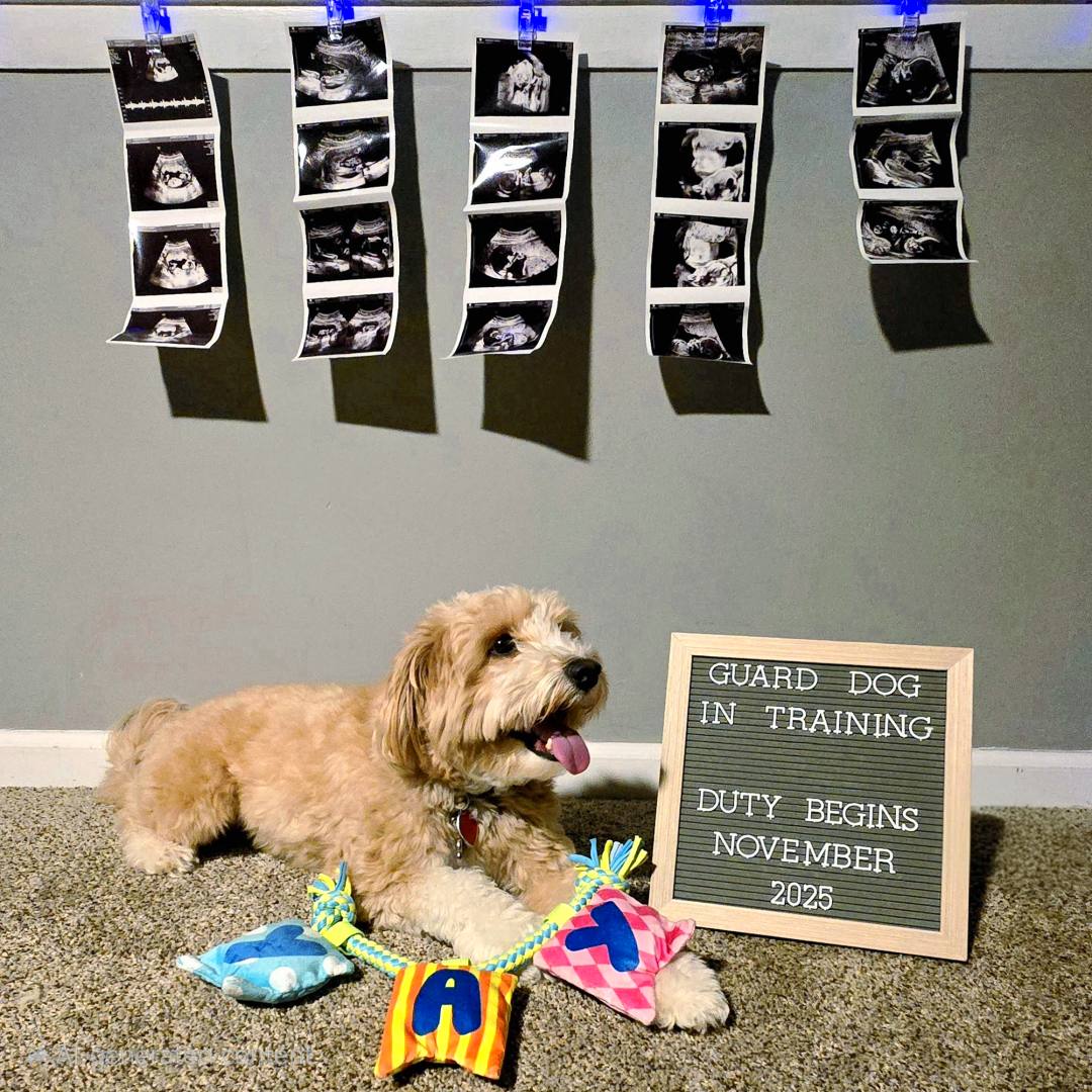 Photo shared by Ashley for their Babylist baby registry.