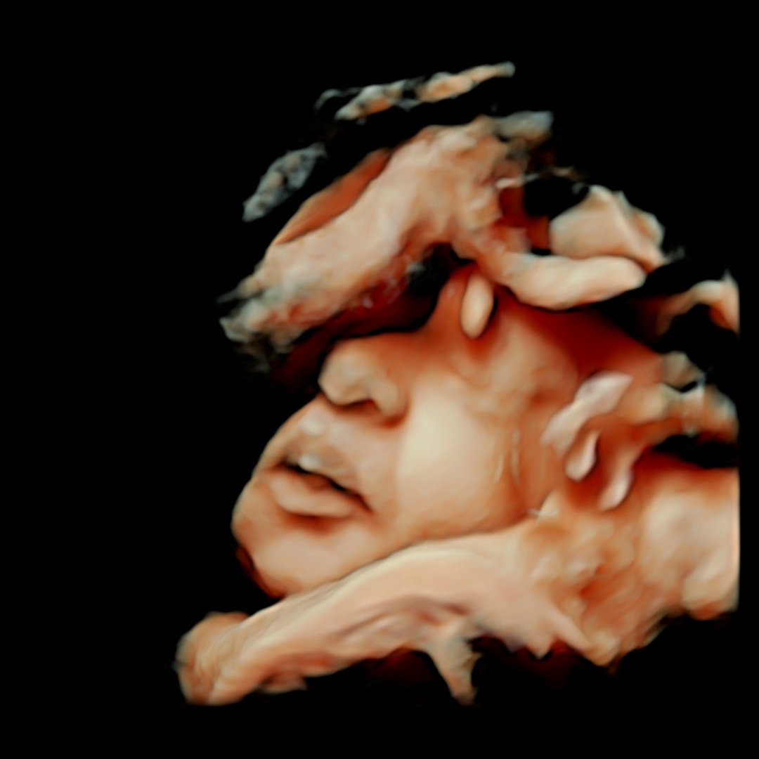 Photo shared by Aniya for their Babylist baby registry.